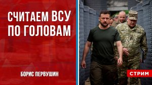 Считаем ВСУ по головам [Борис Первушин. СТРИМ]