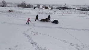 Конные сани на мотобуксировщик! Потянет? (любительское видео)