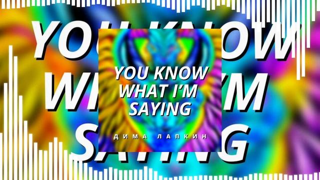 [Мемы] Дима Лапкин - You Know What I'm Saying (Official Music Visualizer)