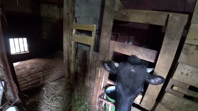 № 41 Забавные и смешные моменты смотреть онлайн