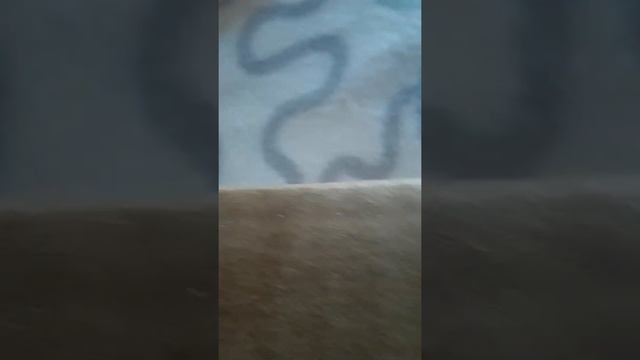 Яндекс станция мини приехала смотреть онлайн