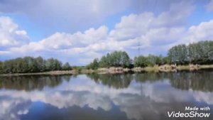 Ловля леща летом