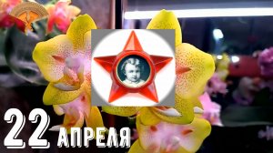 Грабли веерные Для любителей канала Грабли Лайф 22.04.2022.mp4