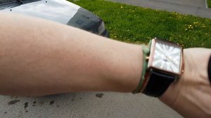 Поездка на юг в Витязево на машине