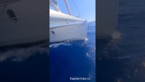 Можно ли перевернуть круизный парусный катамаран?