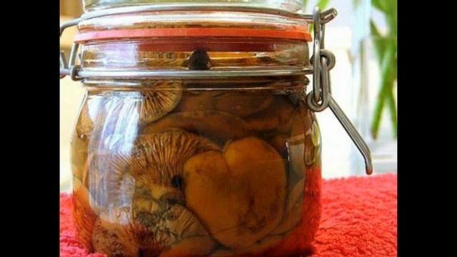 Грибы рыжики маринованные смотреть онлайн