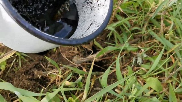 ВЕДЬМИНА СВЕЧА ПОДРОБНОЕ ВИДЕО как СДЕЛАТЬ МАСТЕР КЛАСС | WITCH CANDLE DETAILLIERTES VIDEO