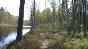 МОРЬЕ. В УСТЬЕ У ДЕРЕВНИ. РЫБАЛКА 13. 05. 2019