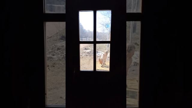 дятька Шанкар занемаеца Аштанга йогой 28.03.23г. рядом с Клубом Мороз и Ко. смотреть онлайн