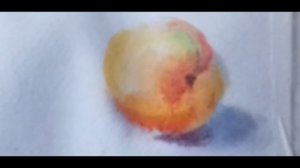 Урок №6. КАК нарисовать АБРИКОС акварелью ПО-МОКРОМУ. ВИДЕО УРОК.