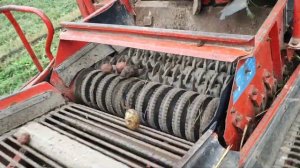 КАРТОФЕЛЕУБОРОЧНЫЙ КОМБАЙН! Копаем картошку 2022 - а где картошка?