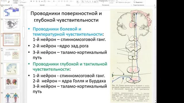 Lesson #1 p1 Sensitivity 13/11/21 смотреть онлайн