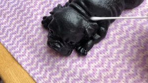 НОВАЯ СОБАКА СКВИШ!!!!??показала свою настоящую собаку!!!очень интересно!!!??