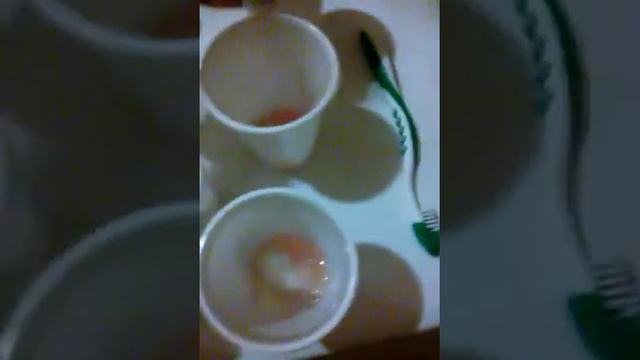 Эксперимент с цветком! Всё удачно! смотреть онлайн