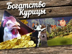 Богатство Курицы: Кобзон Хиггса и Космический турист