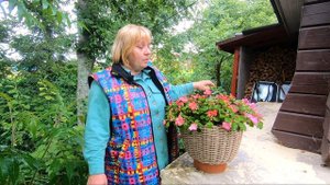 Обзор цветущих вазонов в моем саду. Контейнерное цветоводство: выращивание, подкормки, омоложение