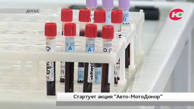 Мотоциклистов и автомобилистов приглашают сдать кровь смотреть онлайн