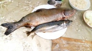 Любимые котлеты из горбуши и скумбрии.