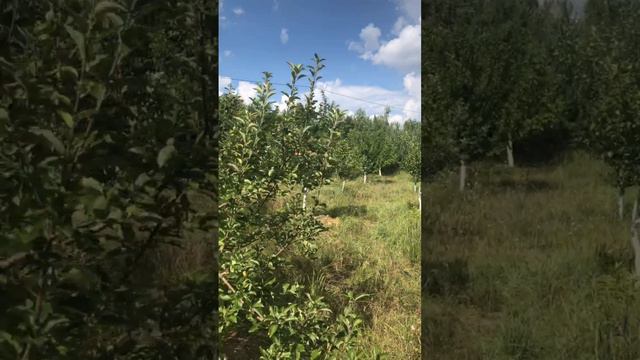 Актив коллектива Днепра, проводит заезд в Городе Будущего Урании.