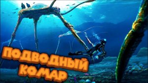 КОМАРЫ СОСУЩИЕ МОРСКОЕ ДНО Subnautica