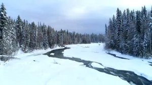 Winter • 4K Nature Relaxation Film • Peaceful Relaxing Music • Video UltraHD