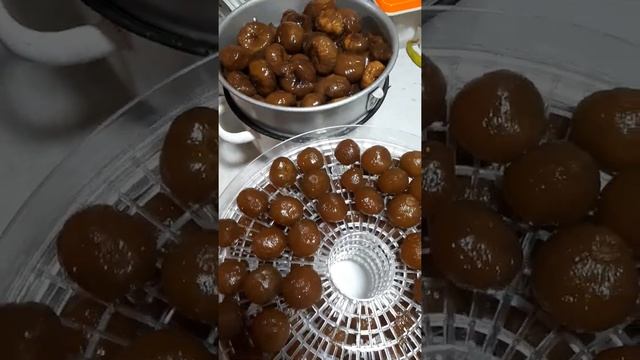 Инжир впрок. Сушим инжир в электросушилке. смотреть онлайн