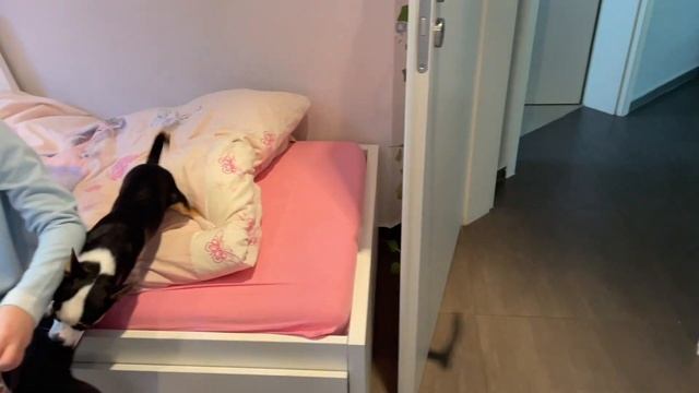 Счастливые дети,у Карины в гостях,что делали?закупка,подарок от доченьки,повезло, примерка носочков