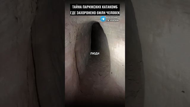 Зачем в парижских катакомбах проводят рейв вечеринки?