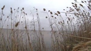 ОХОТА НА УТКУ/ТРУДОВАЯ ОХОТА ч2/ОТКРЫТИЕ ОСЕННЕЙ ОХОТЫ НА УТКУ 2020/2021/вконце лайфхак ДЛЯ охотник