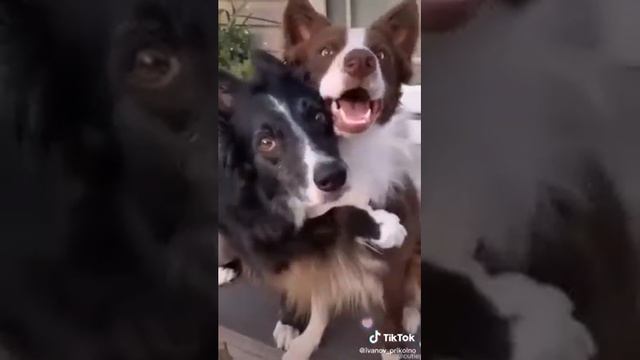 от улыбки хмурый день светлей смотреть онлайн