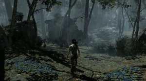 Tomb Raider Яматай Прибрежный лес 6 часть