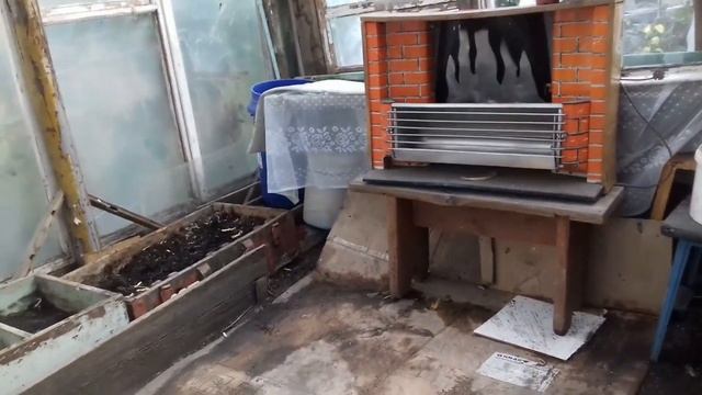 комнатные цветы переехали в теплицу смотреть онлайн