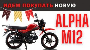 Покупаем новую Альфу из МАГАЗИНА