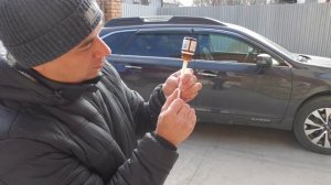 Травлю глистов перед прививкой от чумы и бешенства