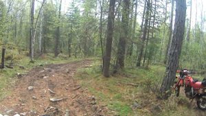 На озеро нухун-гол