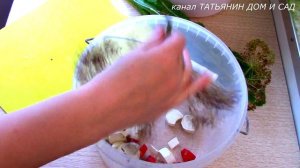 БОЧКОВЫЕ ОГУРЦЫ рецепт