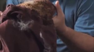 СКВОЗЬ ИЗМЕРЕНИЯ  ...///  ДжАстИн ПоЛ АбрАхАм