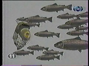 ТНТ программа Очевидец РЫБЫ