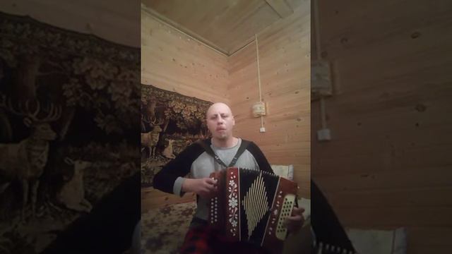 Песня итальянских партизан смотреть онлайн