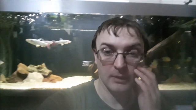 Сказ о том как Eheim 2080 всё-таки встал на боевое дежурство! смотреть онлайн