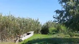 Брюховецкая я вырос в станице Бюховецкой авторская песня  Алексей Иванов