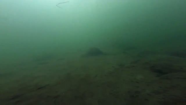 Рыбалка с друзьми 2018. Урал, Горюн. Рыбы нет и не увидем. смотреть онлайн