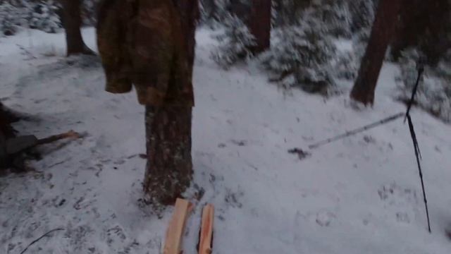 Зимний ПВД, Вырица, станция Посёлок, река Оредеж.