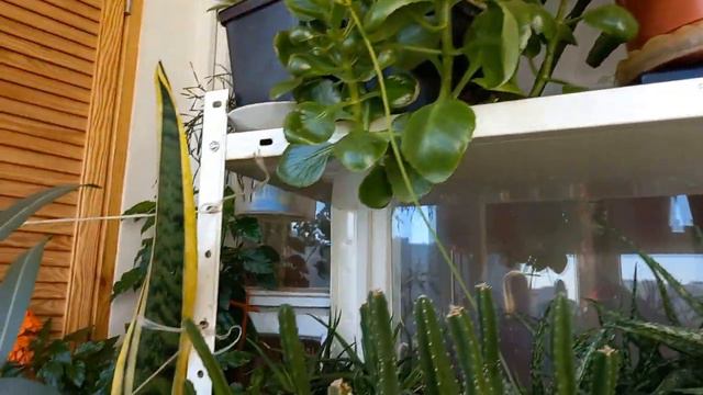 3 листопада 2023 р. смотреть онлайн