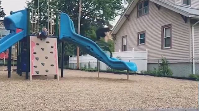 [кеХто приколы] Осторожный кот | Подборка приколов декабрь 2017 смотреть онлайн