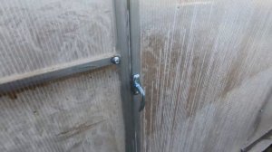 # 267. Проверили наши ёлочки. Начались заморозки. Загородная жизнь с нуля 2023