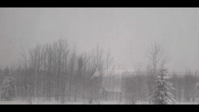 Поезд 375 Я Москва Воркута Из Кожву в Ухту смотреть онлайн