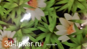 3д линолеум с рисунком ромашки