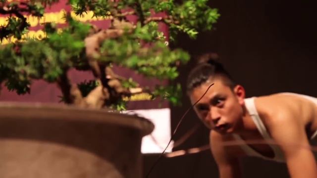 BONSAI MASTER MASASHI HIRAO / HISTORY 2003-2016