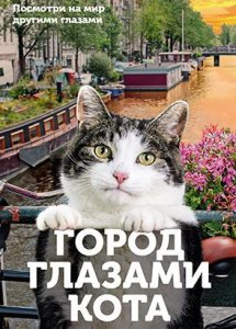 Город глазами кота / Wild Amsterdam (2018)